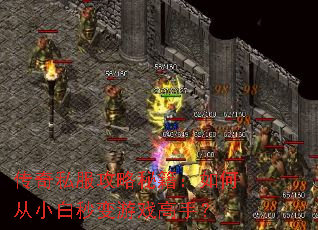 传奇私服攻略秘籍:如何从小白秒变游戏高手? 传奇私服攻略秘籍:如何从小白秒变游戏高手?