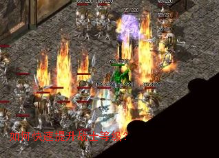 ��ο�������սʿ�ȼ���