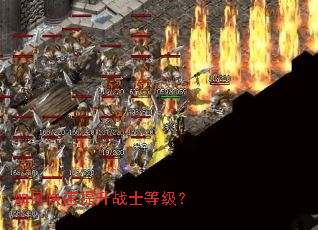 ��ο�������սʿ�ȼ���