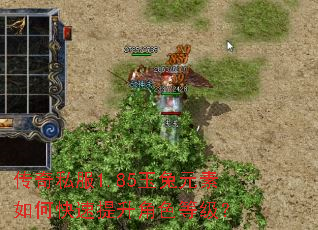 传奇私服1.85玉兔元素如何快速提升角色等级? 传奇私服1.85玉兔元素如何快速提升角色等级?