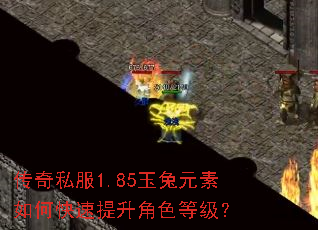 传奇私服1.85玉兔元素如何快速提升角色等级? 传奇私服1.85玉兔元素如何快速提升角色等级?