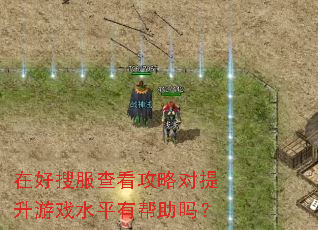 �ں��ѷ��鿴���Զ�������Ϸˮƽ�а�����