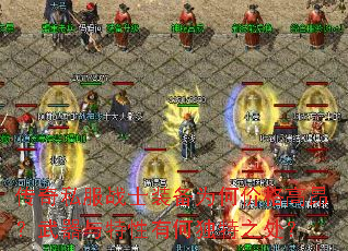 ����˽��սʿװ��Ϊ�μ۸�߰��������������кζ���֮����