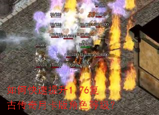 ��ο�������1.76���Ŵ����¿����ɫ�ȼ���