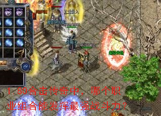 1.80�ϻ������У��ĸ�ְҵ����ܷ�����ǿս������