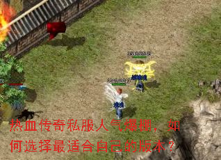 ��Ѫ����˽������������ѡ�����ʺ��Լ��İ汾��