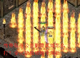 ����˽���������������ô��ȫ��Ա����ȫ����