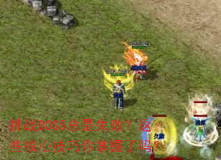 ��սBOSS����ʧ�ܣ���Щ���ļ�������������