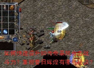 ��ο�������80���汩��ϻ�ս�������������ջԻ�����Щ�ؾ���