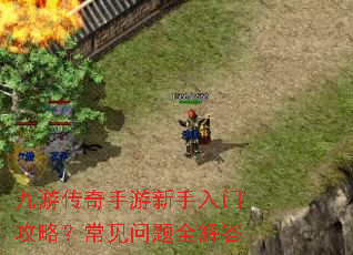 ���δ��������������Ź��ԣ���������ȫ���