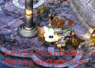 �¿���;���λ�Ա��Ȩ����Щ��������û�Ա������������ս����