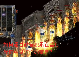 ���ͨ���ڷܻ��������´����м�֤���������