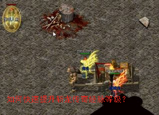 ��ο�������ն�����澭���ȼ���