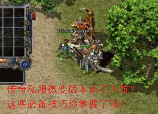 ����˽��΢��汾������ӣ���Щ�ر���������������