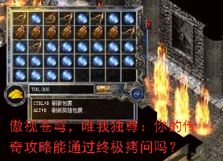 ���Ӳ�񷣬Ψ�Ҷ�����Ĵ��湥����ͨ���ռ�������