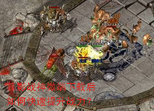 ĺӰս��΢�����غ���ο�������ս����