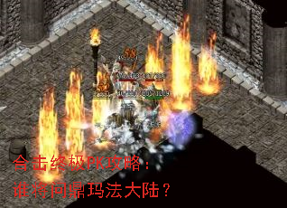 �ϻ��ռ�PK���ԣ�˭���ʶ��귨��½��