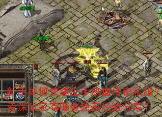 ������ο���������Ѫ����˽���������������Щ���Ҿ��������