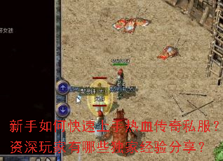 ������ο���������Ѫ����˽���������������Щ���Ҿ��������