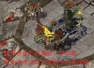 ��ο�������������5FGO��ְҵ�����սɳ�����ֱؿ�����