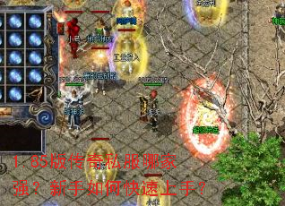 1.85�洫��˽���ļ�ǿ��������ο������֣�