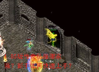 1.85�洫��˽���ļ�ǿ��������ο������֣�