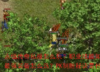 ���㴫��˽����ô�棿ְҵ������δ��䣿��ǿװ����ôѡ��PK��ʤ�ؾ���ʲô��