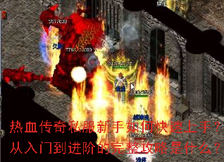 ��Ѫ����˽��������ο������֣������ŵ����׵�����������ʲô��