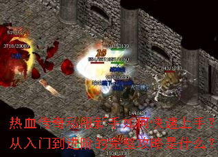 ��Ѫ����˽��������ο������֣������ŵ����׵�����������ʲô��