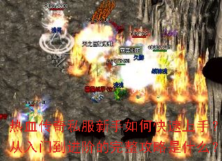 ��Ѫ����˽��������ο������֣������ŵ����׵�����������ʲô��