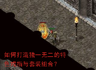 ��δ����һ�޶�����ɫ��ָ����װ��ϣ�