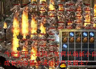 �������ִ����ʣ���δ�����С�׳ɳ�Ϊ�ݺ�ɳ����ɳ�Ϳ˰�����