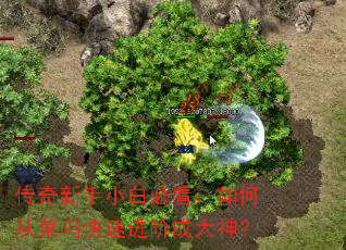 ��������С�ױؿ�����δӲ�����ٽ��׳ɴ���