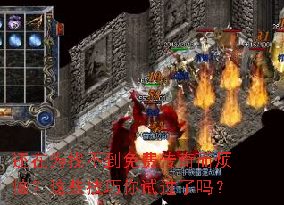 ����Ϊ�Ҳ�����Ѵ�������գ���Щ�������Թ�����