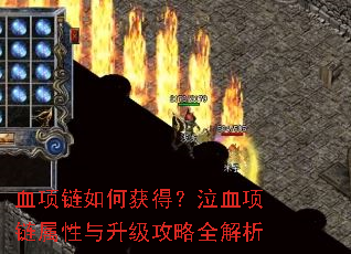Ѫ������λ�ã���Ѫ������������������ȫ����