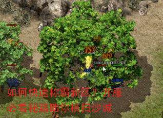 如何快速称霸新区?开服必看秘籍助你横扫沙城 如何快速称霸新区?开服必看秘籍助你横扫沙城