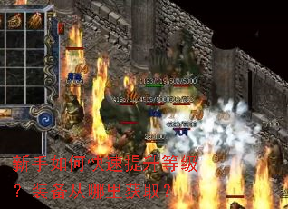 新手如何快速提升等级?装备从哪里获取? 新手如何快速提升等级?装备从哪里获取?