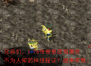 兄弟们,1.76传奇里还有哪些不为人知的神技秘诀?速来求教。 兄弟们,1.76传奇里还有哪些不为人知的神技秘诀?速来求教。