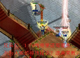 兄弟们,1.76传奇里还有哪些不为人知的神技秘诀?速来求教。 兄弟们,1.76传奇里还有哪些不为人知的神技秘诀?速来求教。