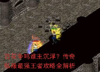 百花争鸣谁主沉浮?传奇私服最强王者攻略全解析 百花争鸣谁主沉浮?传奇私服最强王者攻略全解析