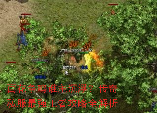 百花争鸣谁主沉浮?传奇私服最强王者攻略全解析 百花争鸣谁主沉浮?传奇私服最强王者攻略全解析