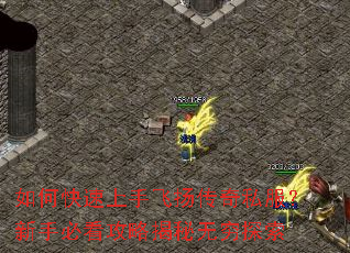 如何快速上手飞扬传奇私服?新手必看攻略揭秘无穷探索 如何快速上手飞扬传奇私服?新手必看攻略揭秘无穷探索