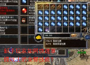 新手玩家如何快速掌握战士的全部技能? 新手玩家如何快速掌握战士的全部技能?