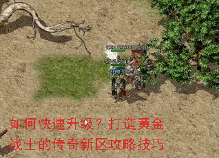 如何快速升级?打造黄金战士的传奇新区攻略技巧 如何快速升级?打造黄金战士的传奇新区攻略技巧