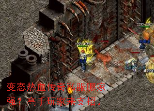 ��̬��Ѫ����˽���ļ�ǿ�����������֧�С�