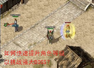 如何快速提升角色等级以挑战强大BOSS? 如何快速提升角色等级以挑战强大BOSS?