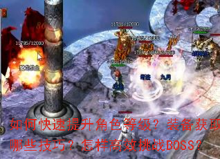 ��ο���������ɫ�ȼ���װ����ȡ����Щ���ɣ�������Ч��սBOSS��