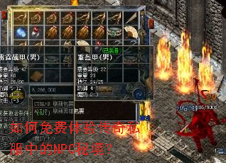 ���������鴫��˽���е�NPC�ؾ���