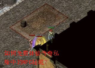 ���������鴫��˽���е�NPC�ؾ���