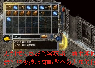 刀剑传奇私服制霸攻略:新手如何快速起步?终极技巧有哪些不为人知的秘密? 刀剑传奇私服制霸攻略:新手如何快速起步?终极技巧有哪些不为人知的秘密?